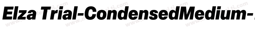 Elza Trial-CondensedMedium字体转换